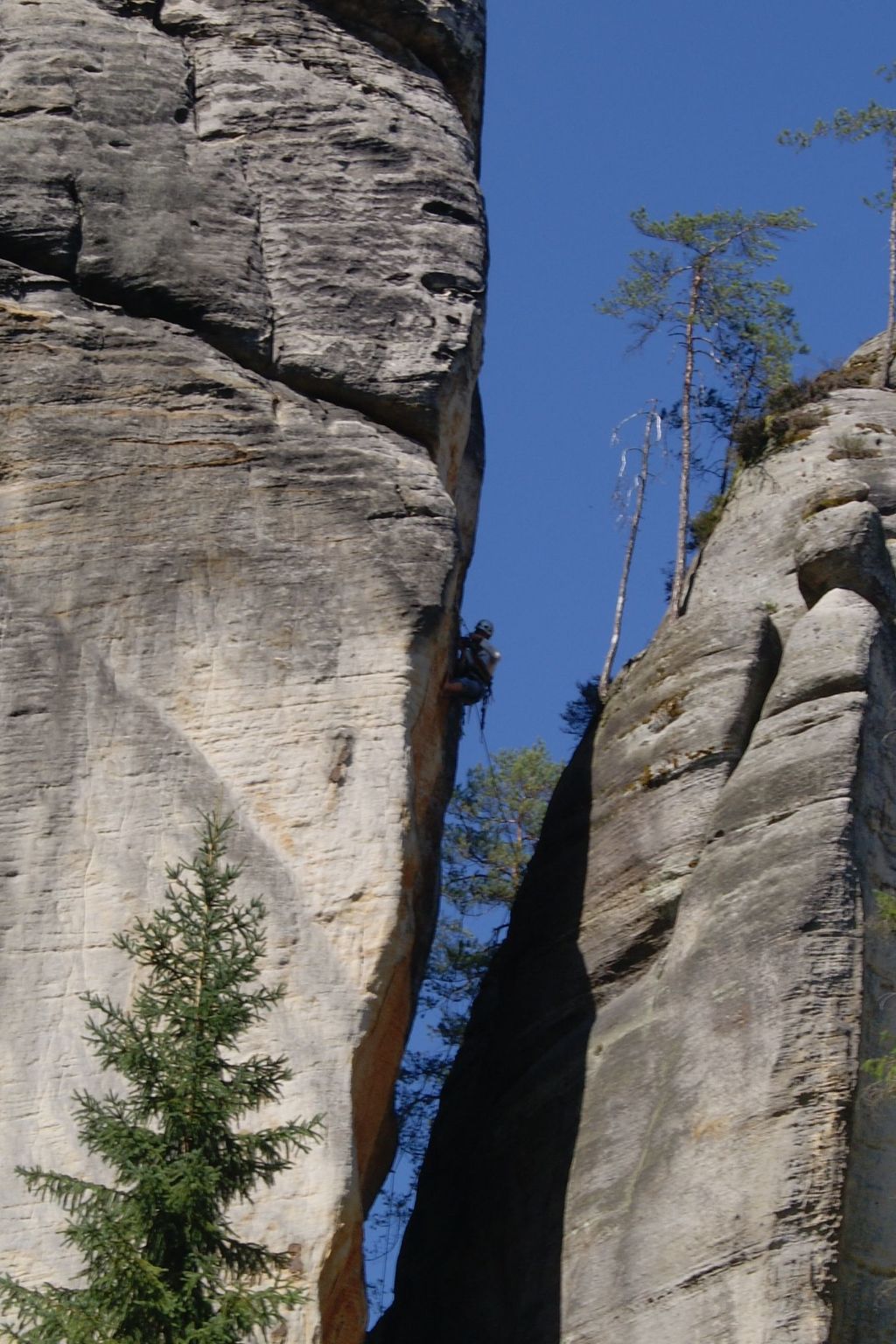 In natürlicher Umgebung-Binnen