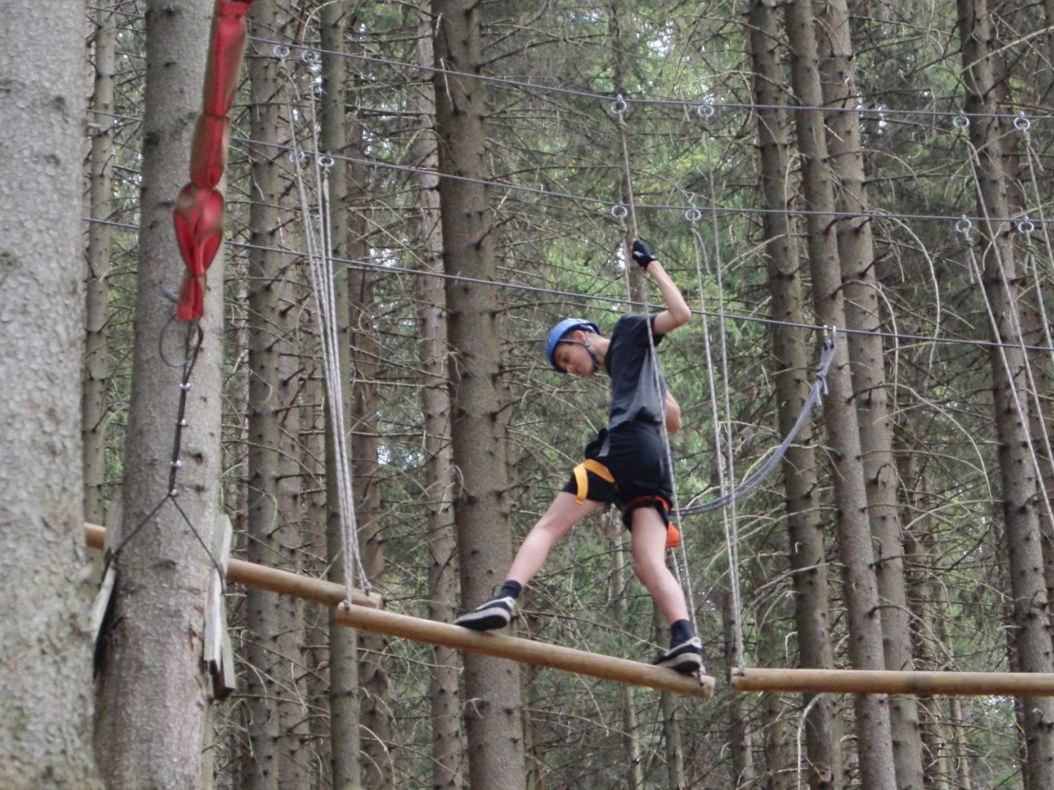 In natürlicher Umgebung-Binnen