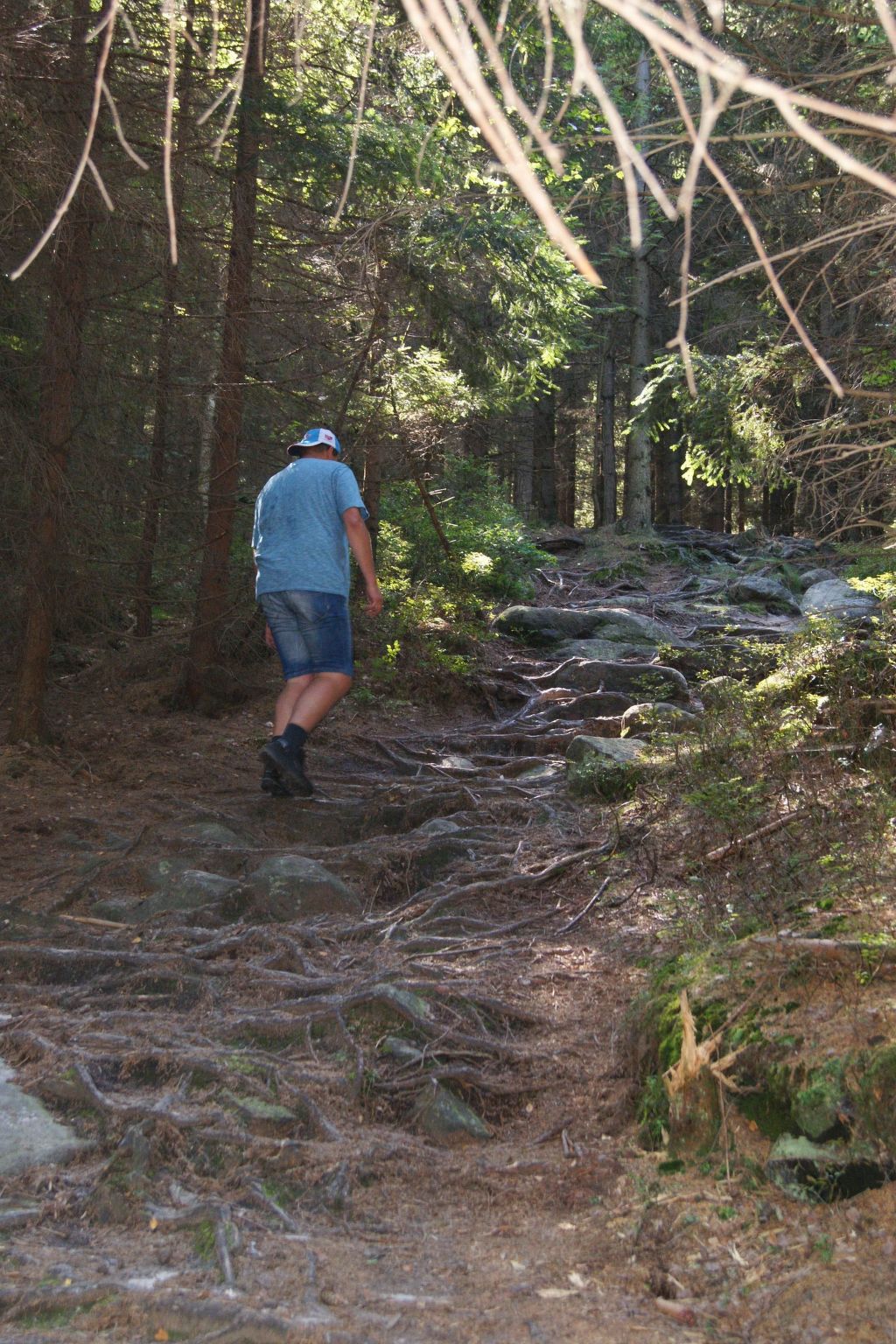 In natürlicher Umgebung-Binnen