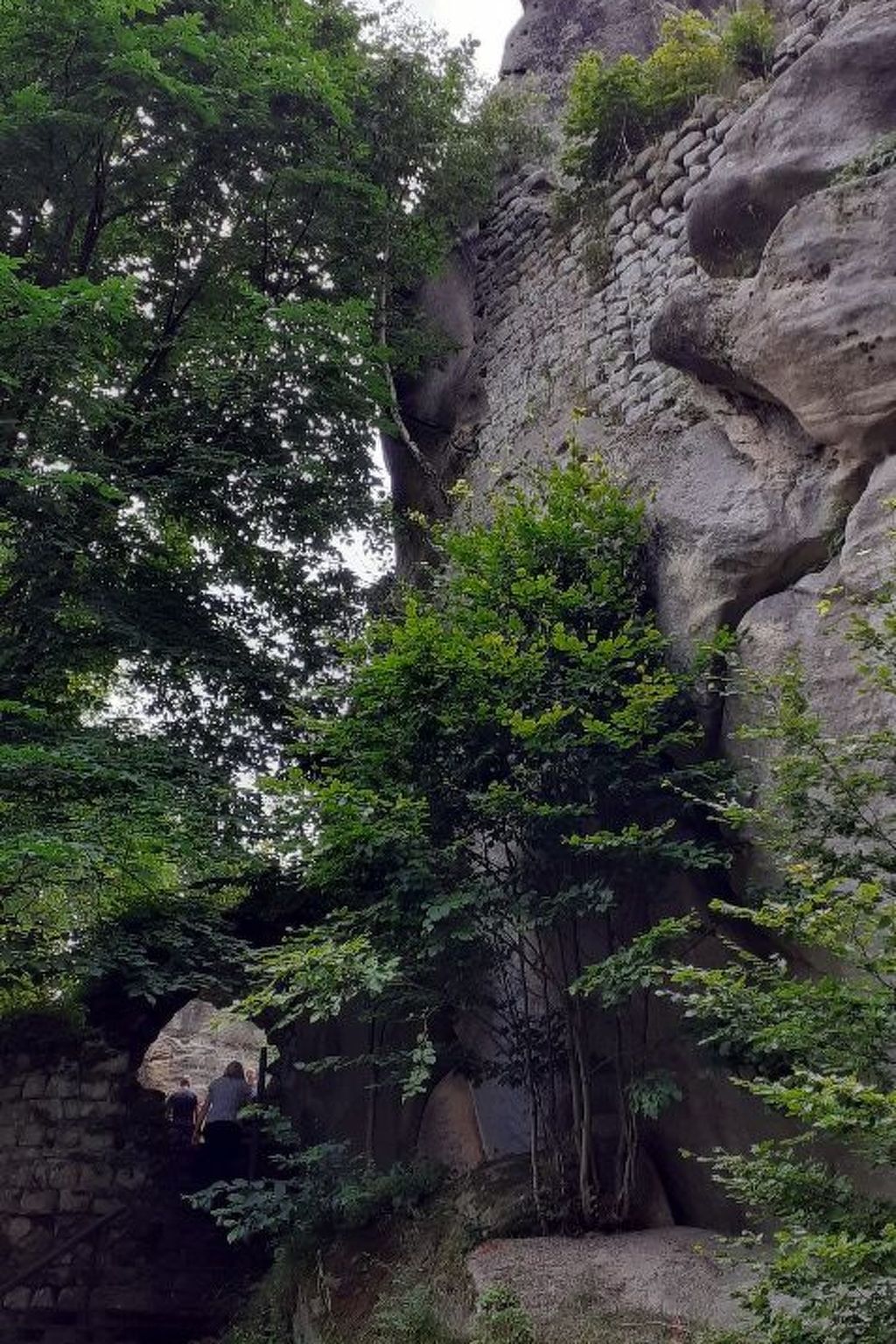 In natürlicher Umgebung-Binnen