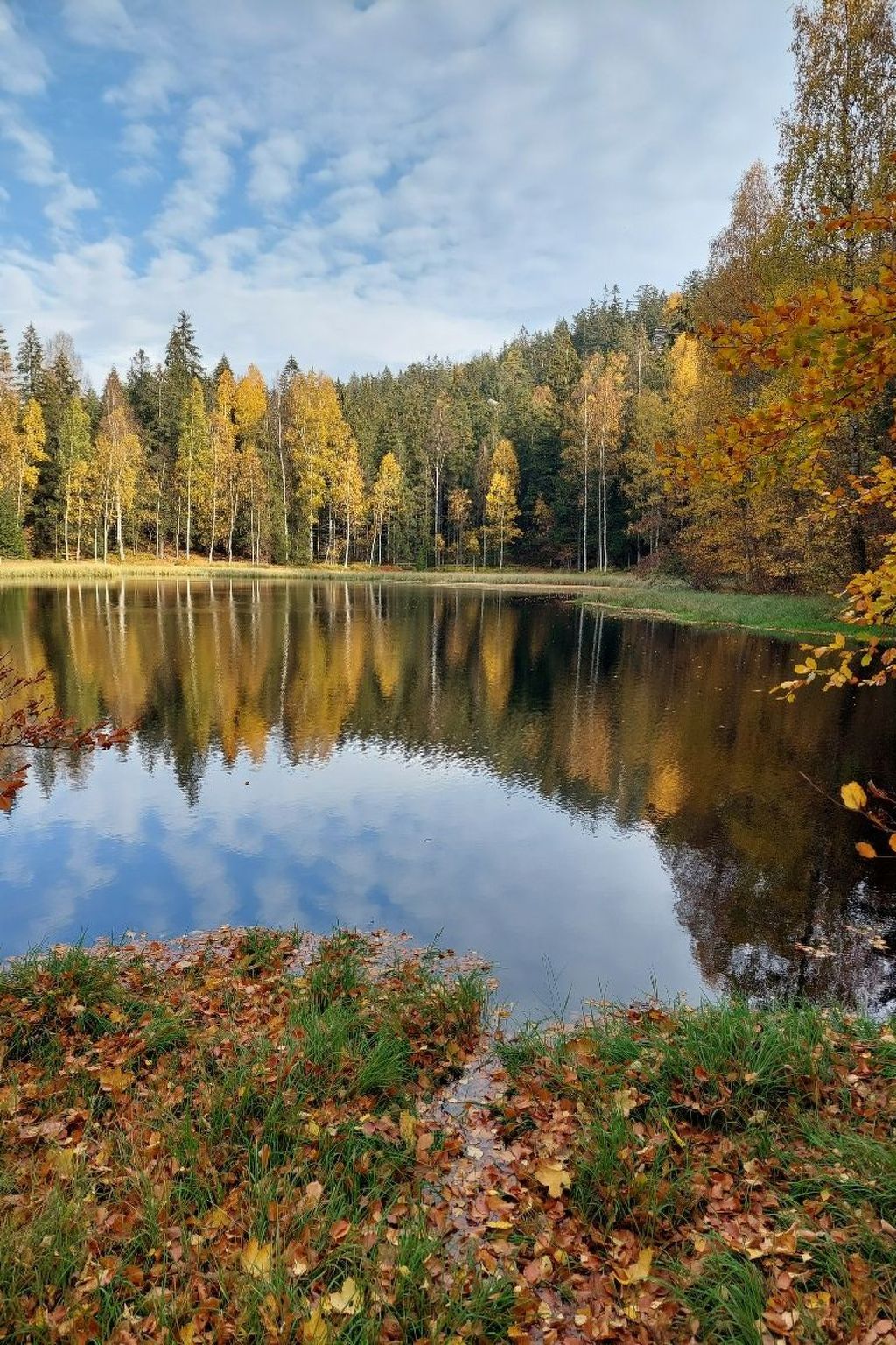 In natürlicher Umgebung-Binnen