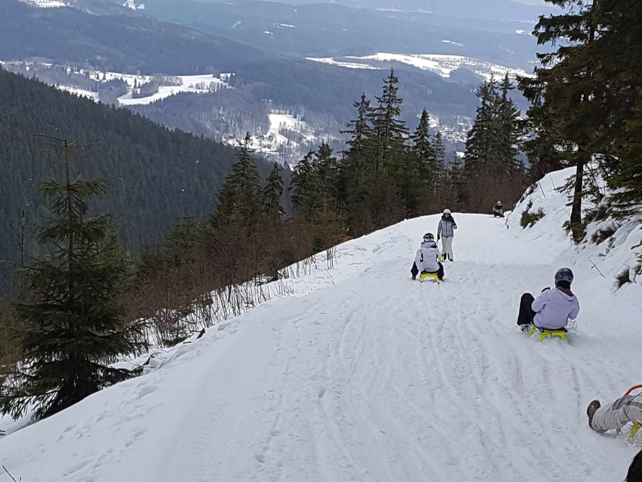 In natürlicher Umgebung-Binnen