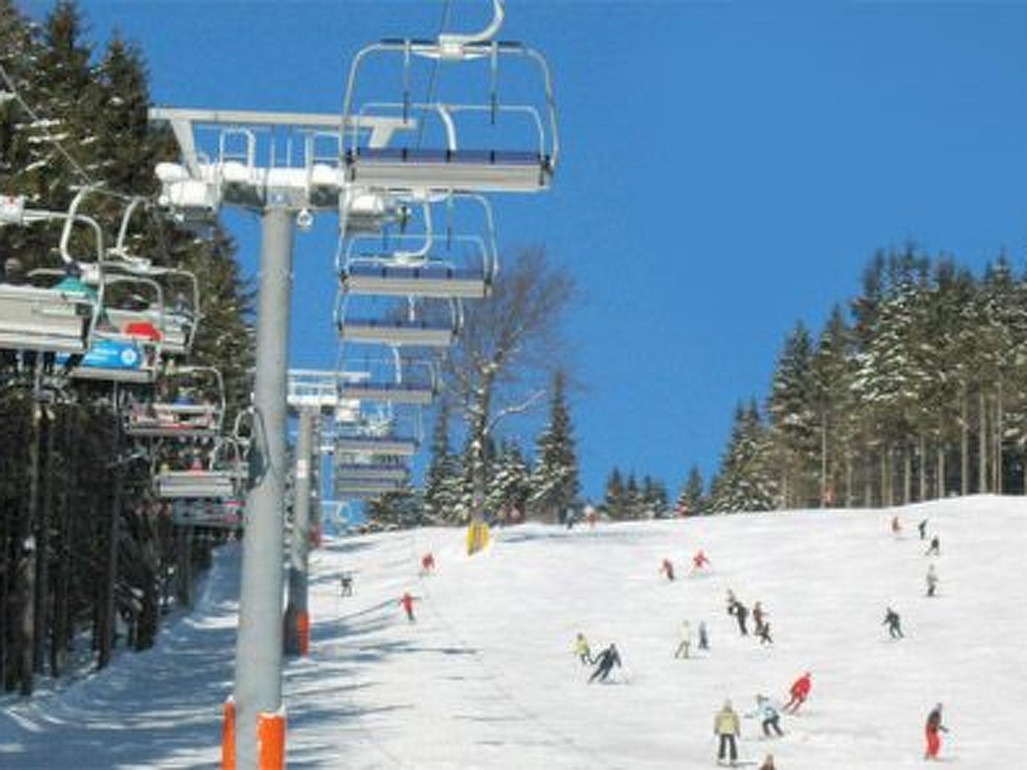 In natürlicher Umgebung-Binnen