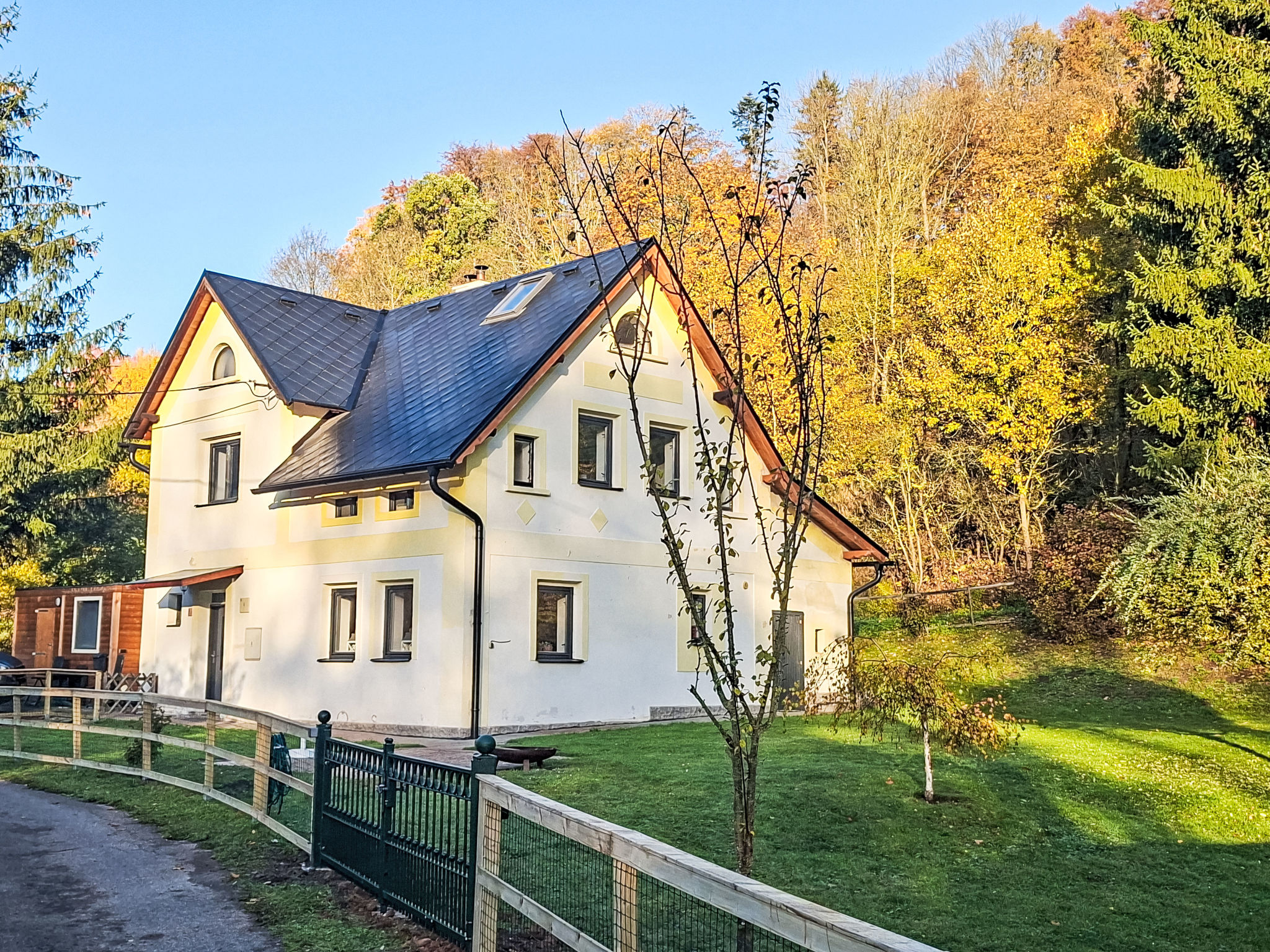 In natürlicher Umgebung