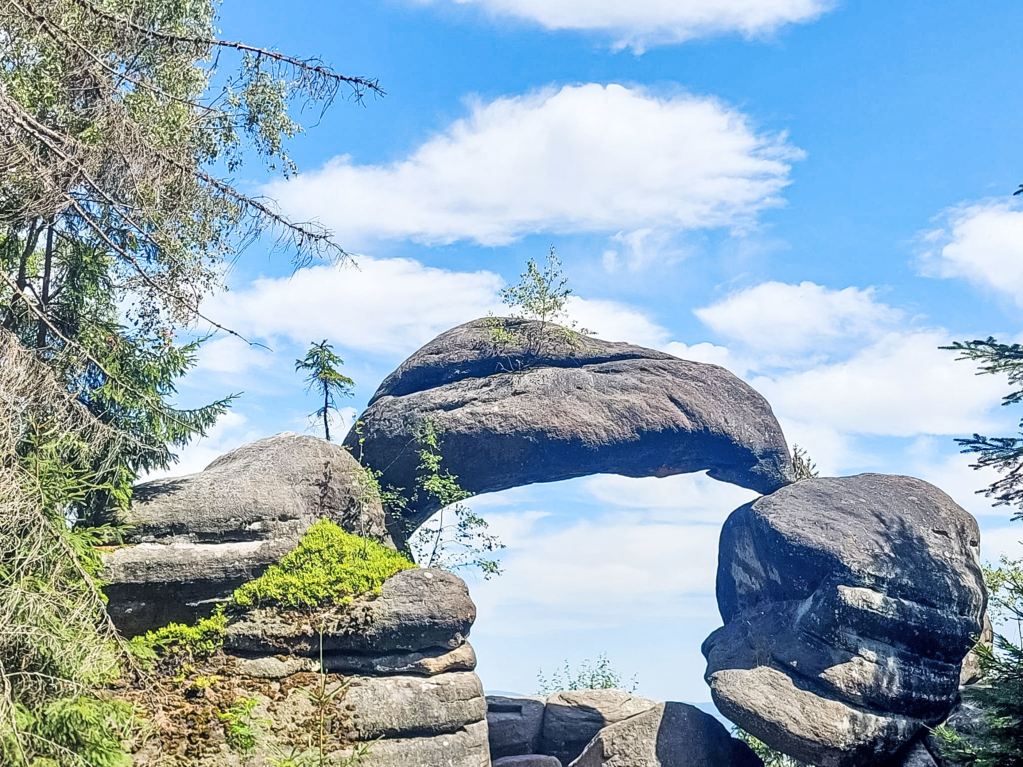 In natürlicher Umgebung - Buiten