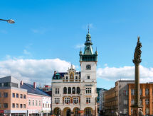 Vakantiehuis Stárkov