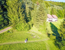 Vakantiehuis Stárkov