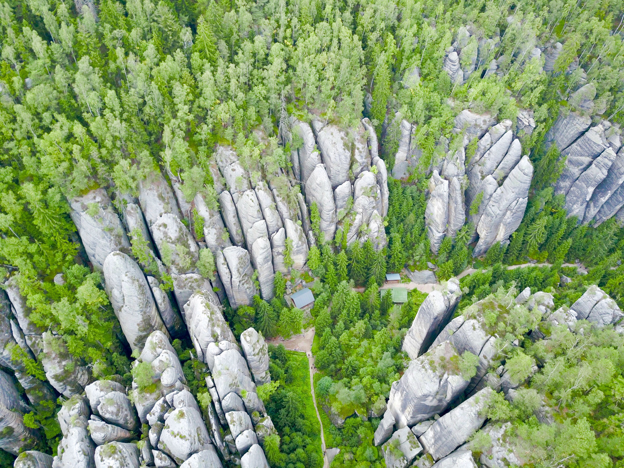 Green Valley Park Stárkov 18 - Omgeving