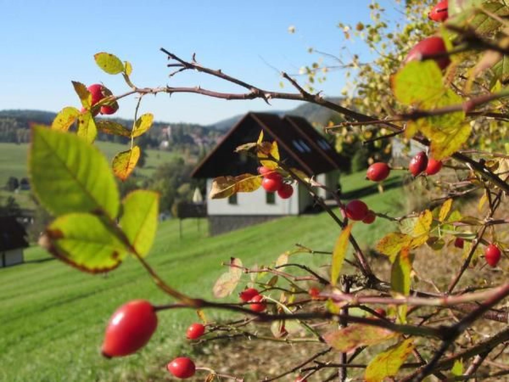 In  Green Valley Park 4-Binnen