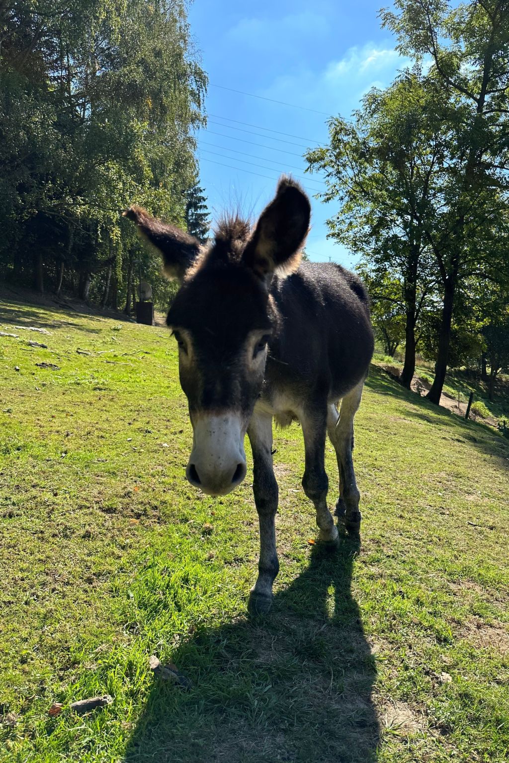 In  Green Valley Park 4-Binnen