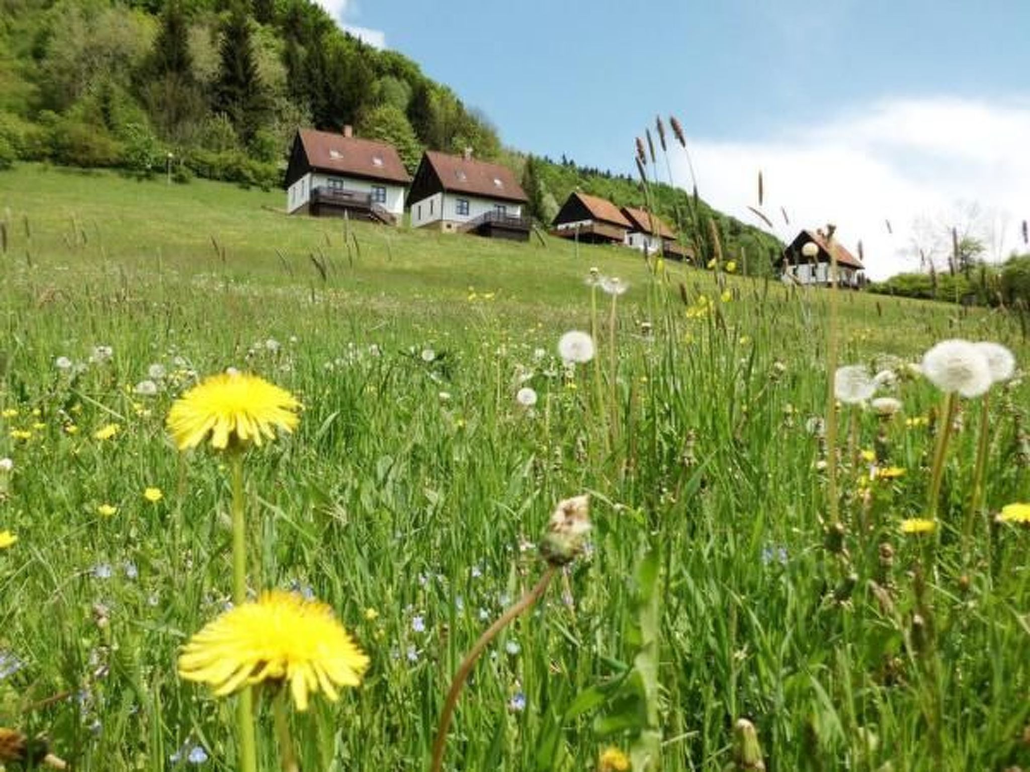 In  Green Valley Park 4-Binnen