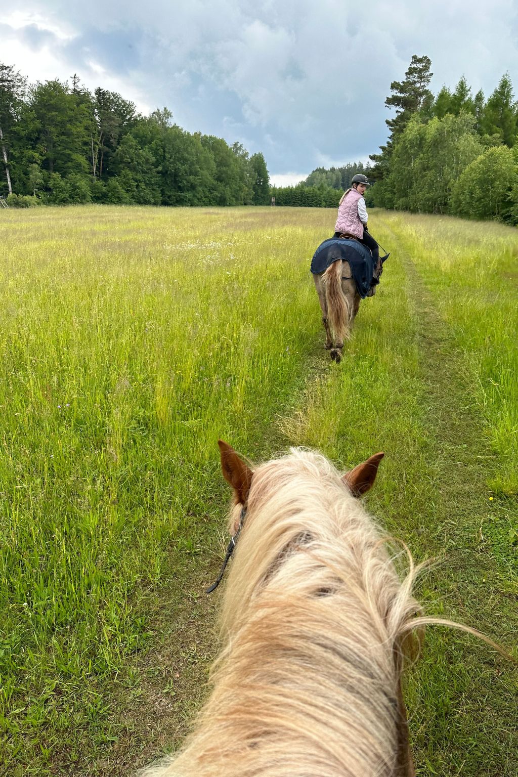 In  Green Valley Park 4-Binnen