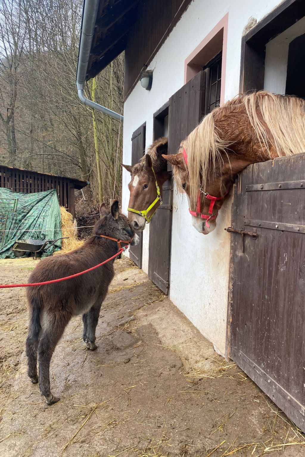 In  Green Valley Park 4-Binnen