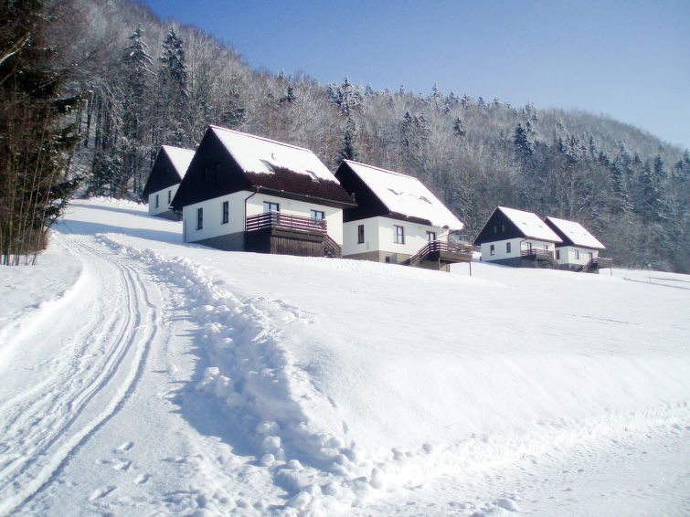 Ferienhaus Stárkov