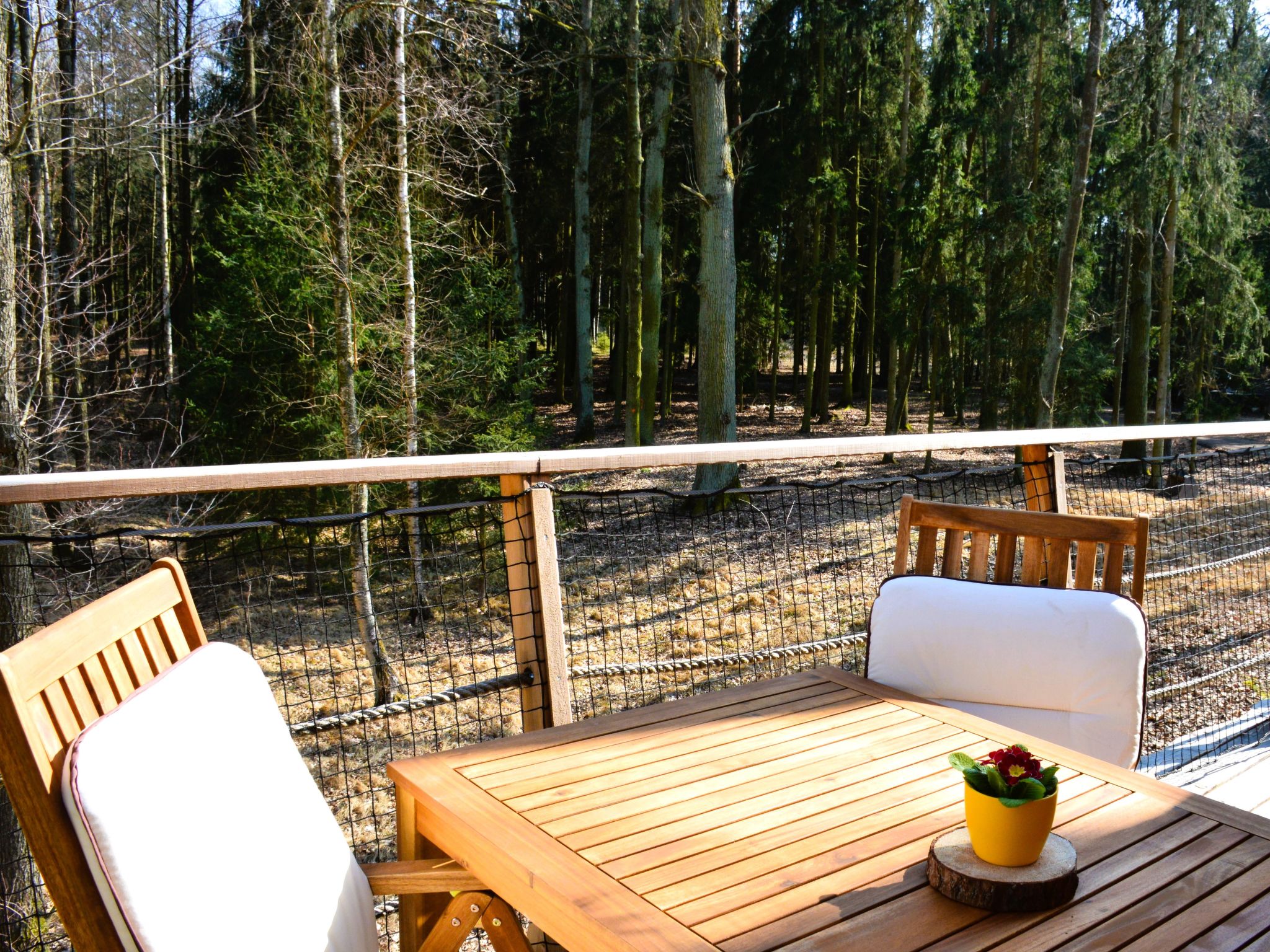 Treehouse 1-Buiten
