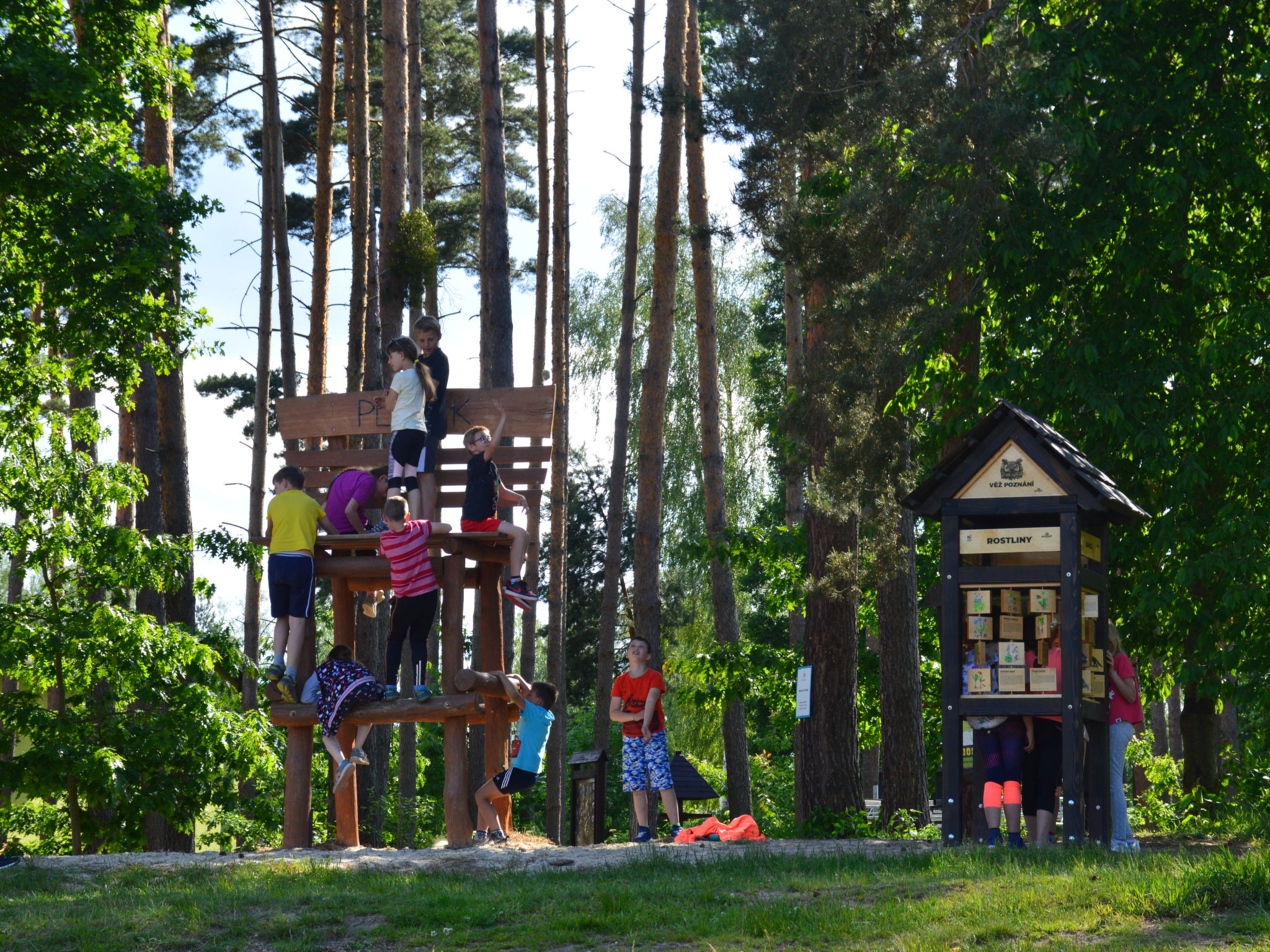 Treehouse 1-Buiten