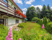 Ferienwohnung Harrachov 387