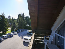 Ferienwohnung Harrachov 497
