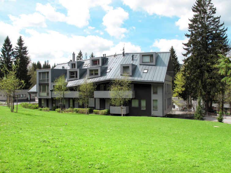 "Harrachov (HRA140)", studio 1-kamer 30 m2 op de 1e verdieping. Licht, modern ingericht: woon-/slaapkamer met 1 2-pers bed, 1 slaapplaats, eettafel en Sat-TV. Uitgang naar het balkon. Kookhoek (2 kera..