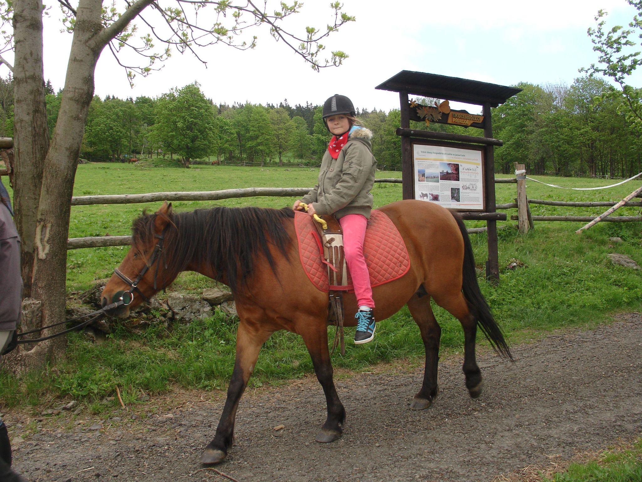 Charmantes, traditionelles Holzhaus