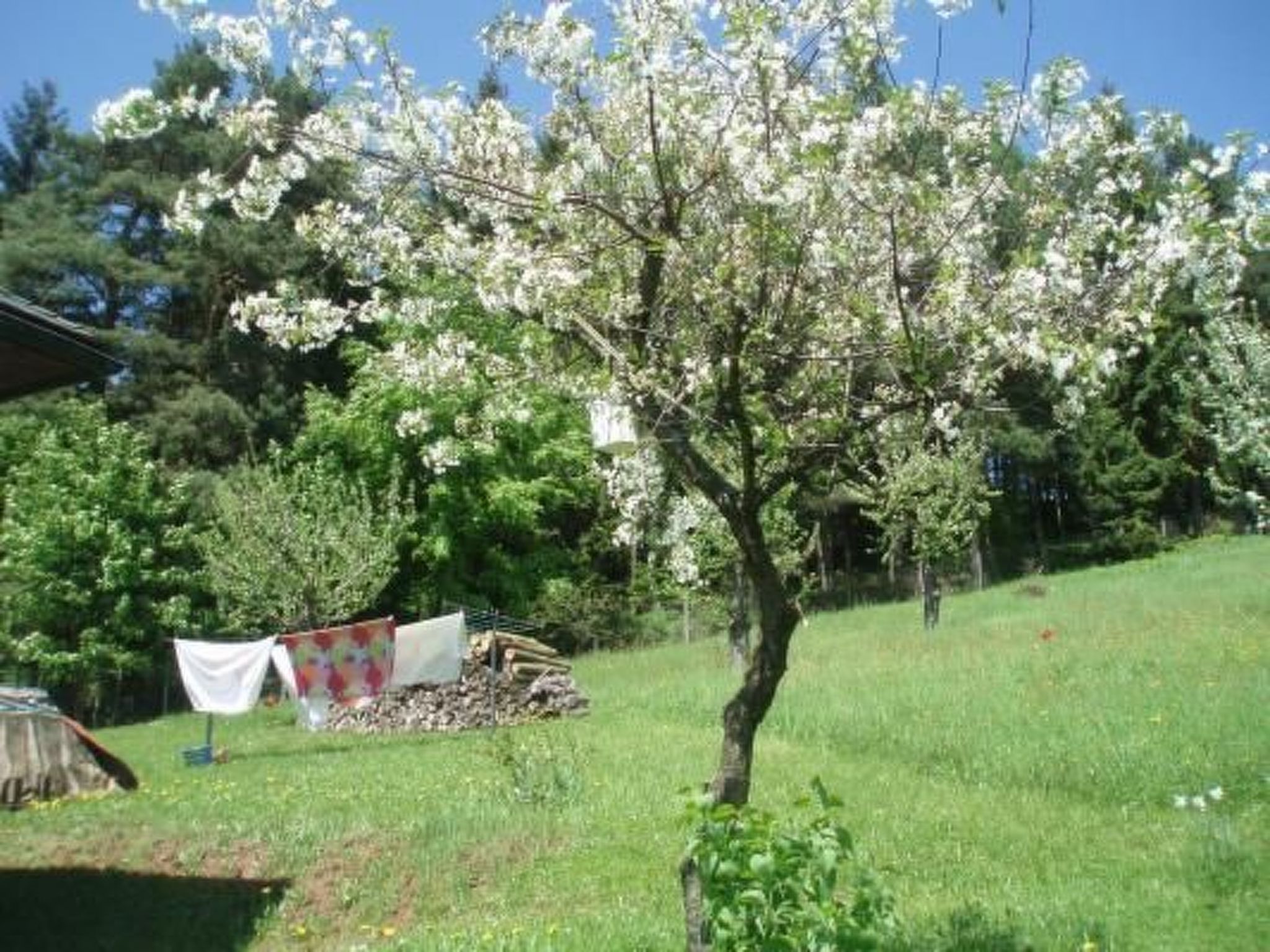 Villa "Na Hora" mit Garten, Grill und Terrasse-Binnen