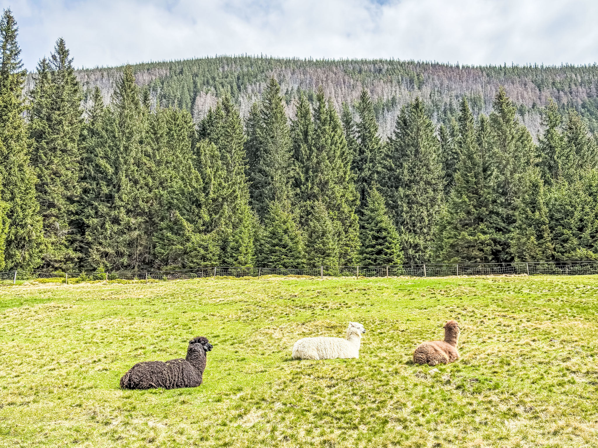 Na Kovárně-Draußen