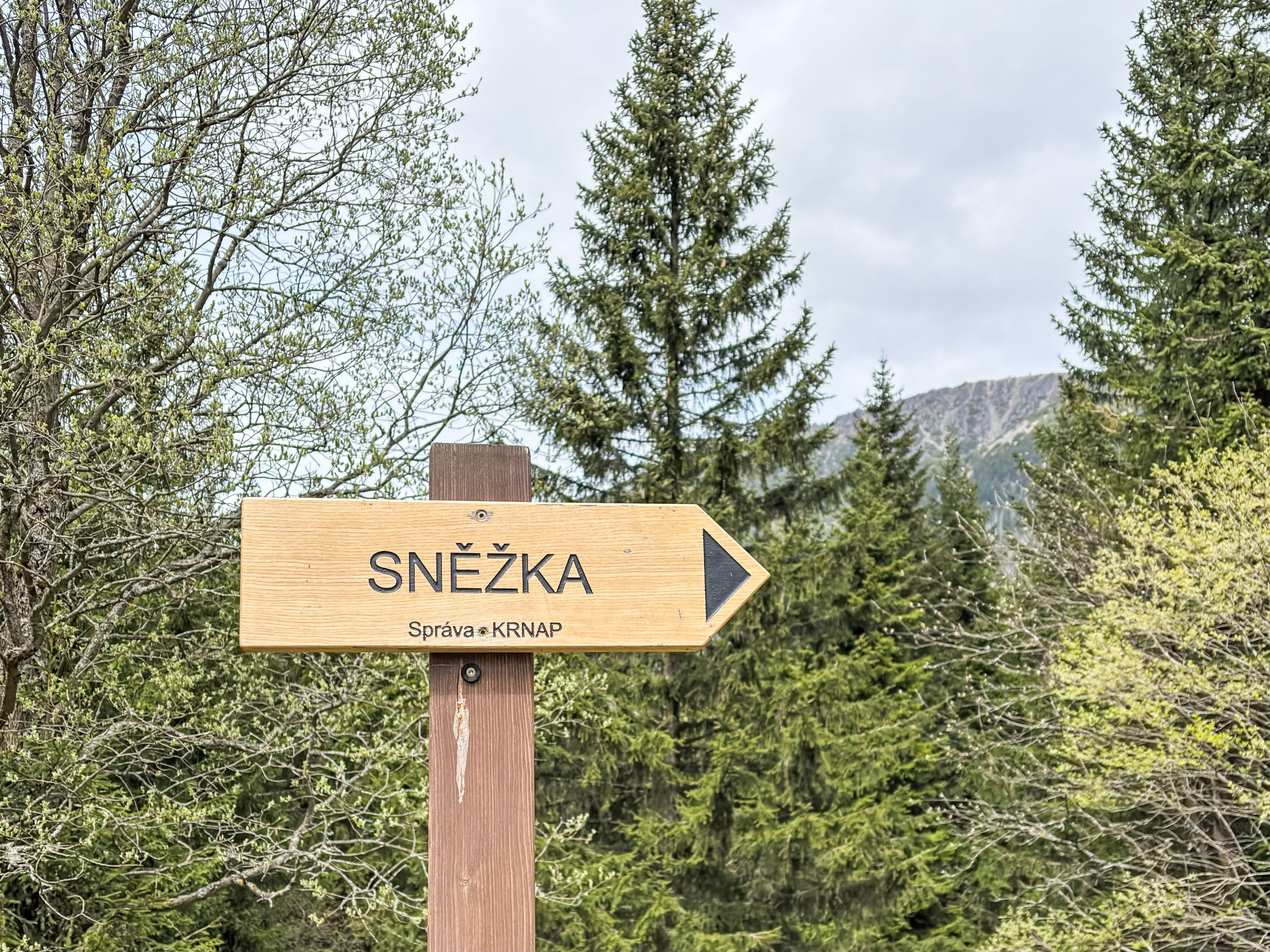 Rezidence Krakonoš 105-Area