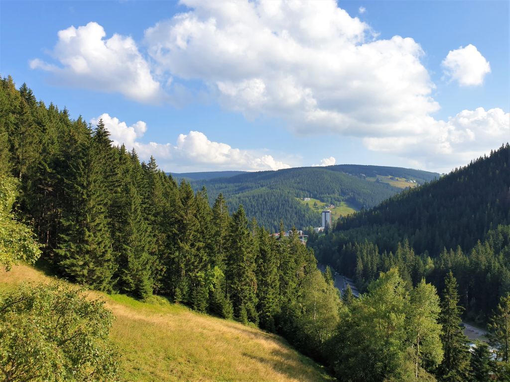 Bild 14