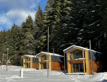 Ferienhaus Lux chalet