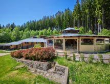 Ferienhaus Lux chalet