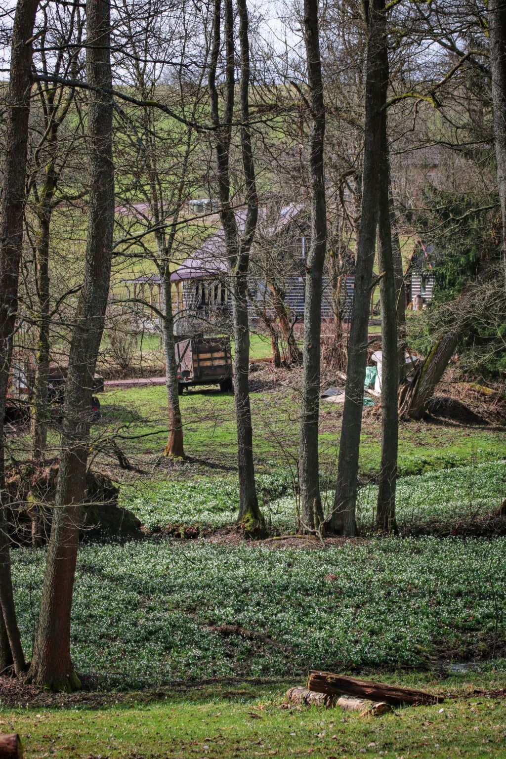 BUKY Escape - Omgeving