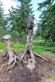 Apartmá Sluneční stráň III