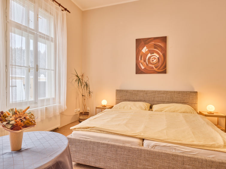 Appartement 1-kamer op de 1e verdieping. Ruim en licht, doelmatig en met veel hout ingericht: 1 kamer met 1 2-pers bed. Kookhoek (2 keramische glas kookplaten, broodrooster, waterkoker, magnetron) met..