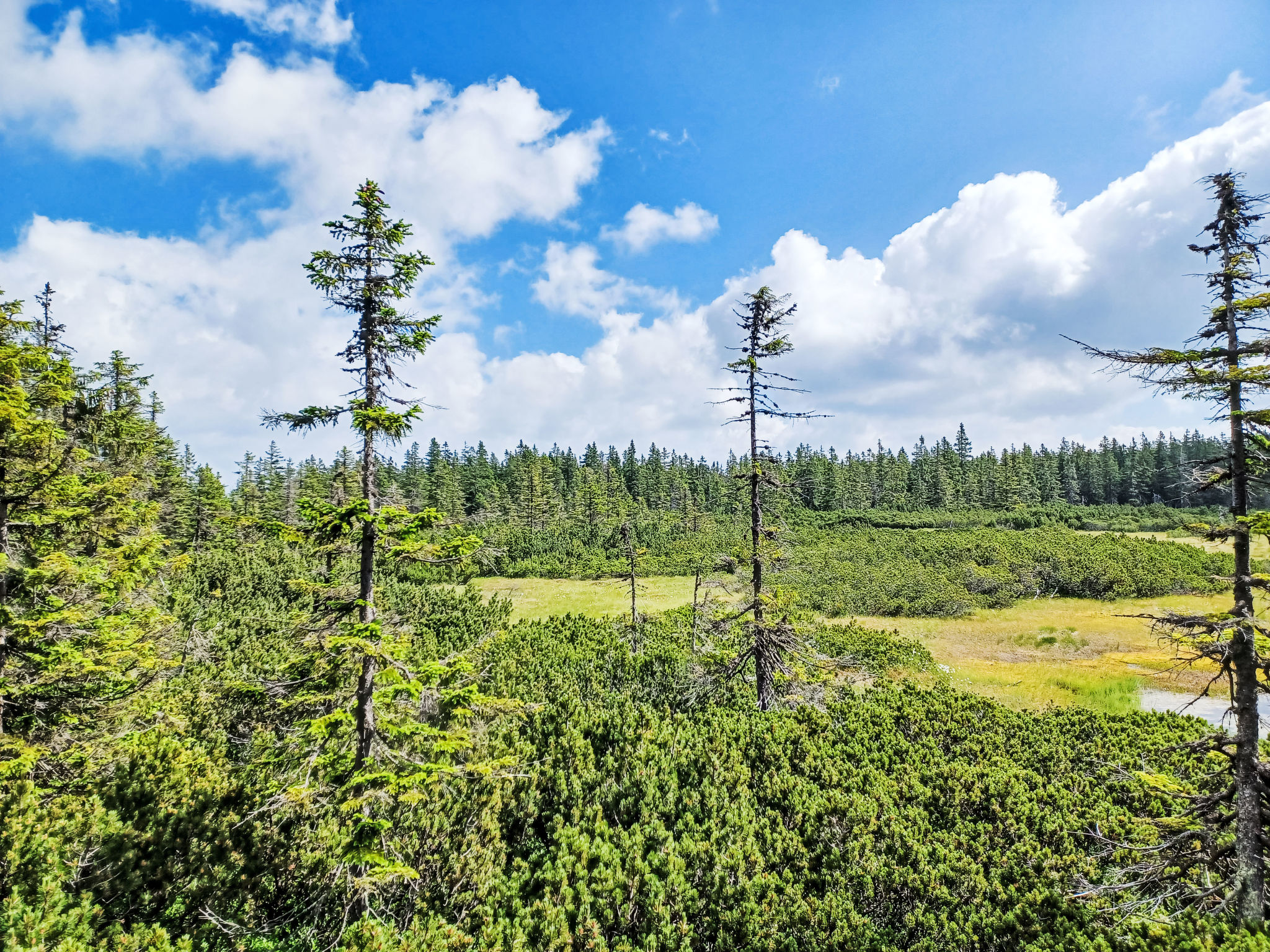 Smrčina 4Pax-Omgeving