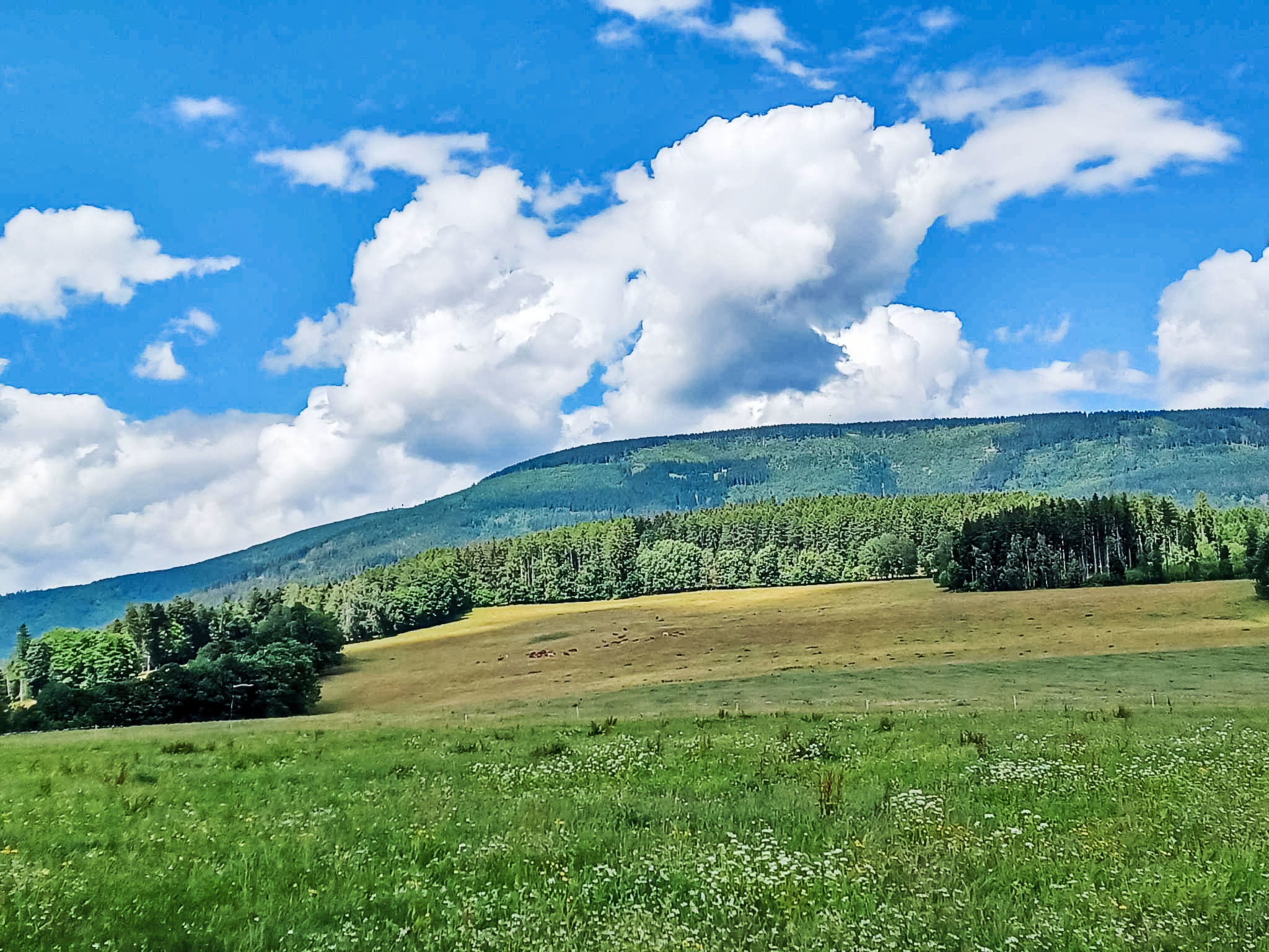 Sára - Omgeving