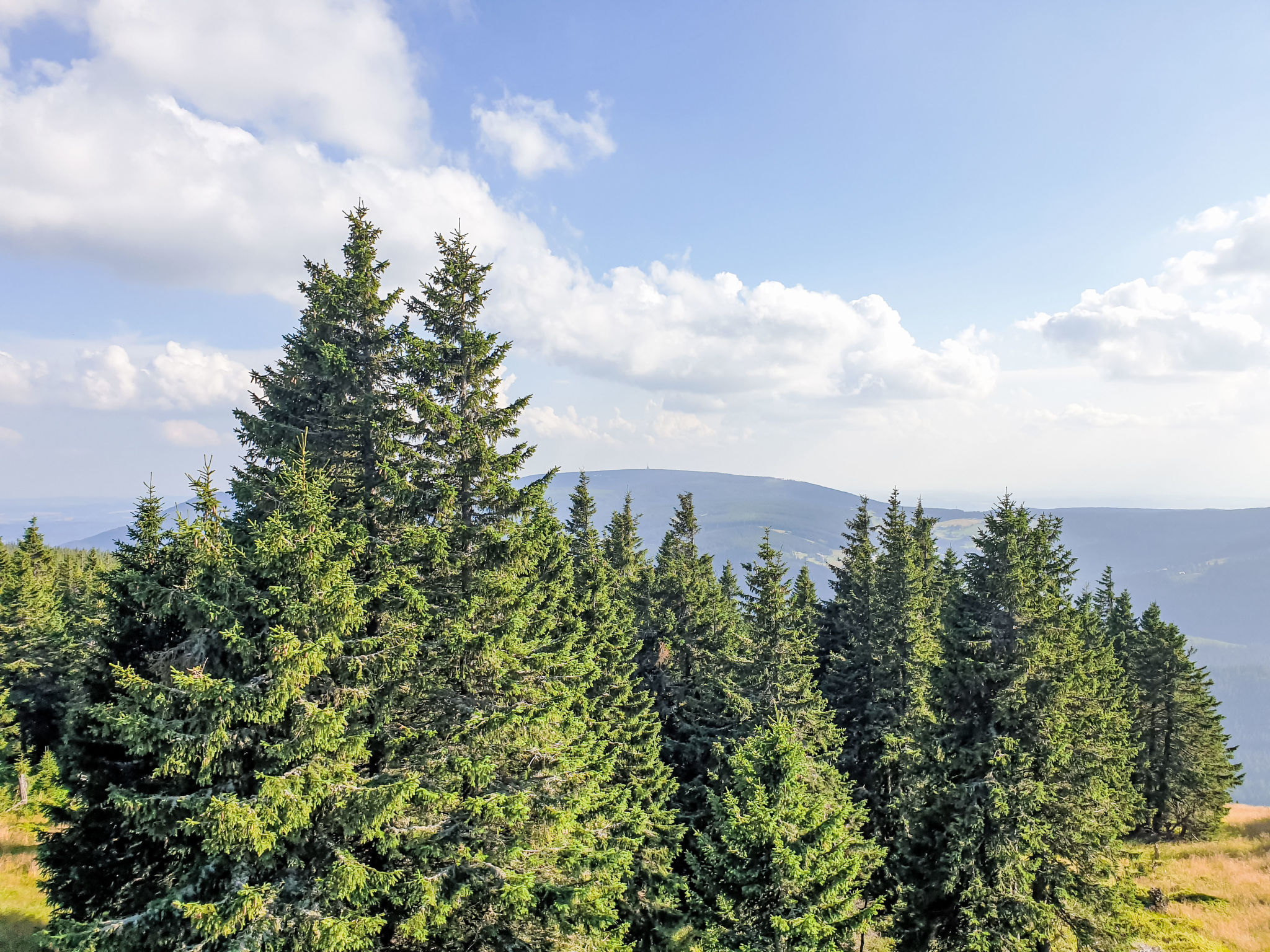U Švýcarského dvora I-Environnement