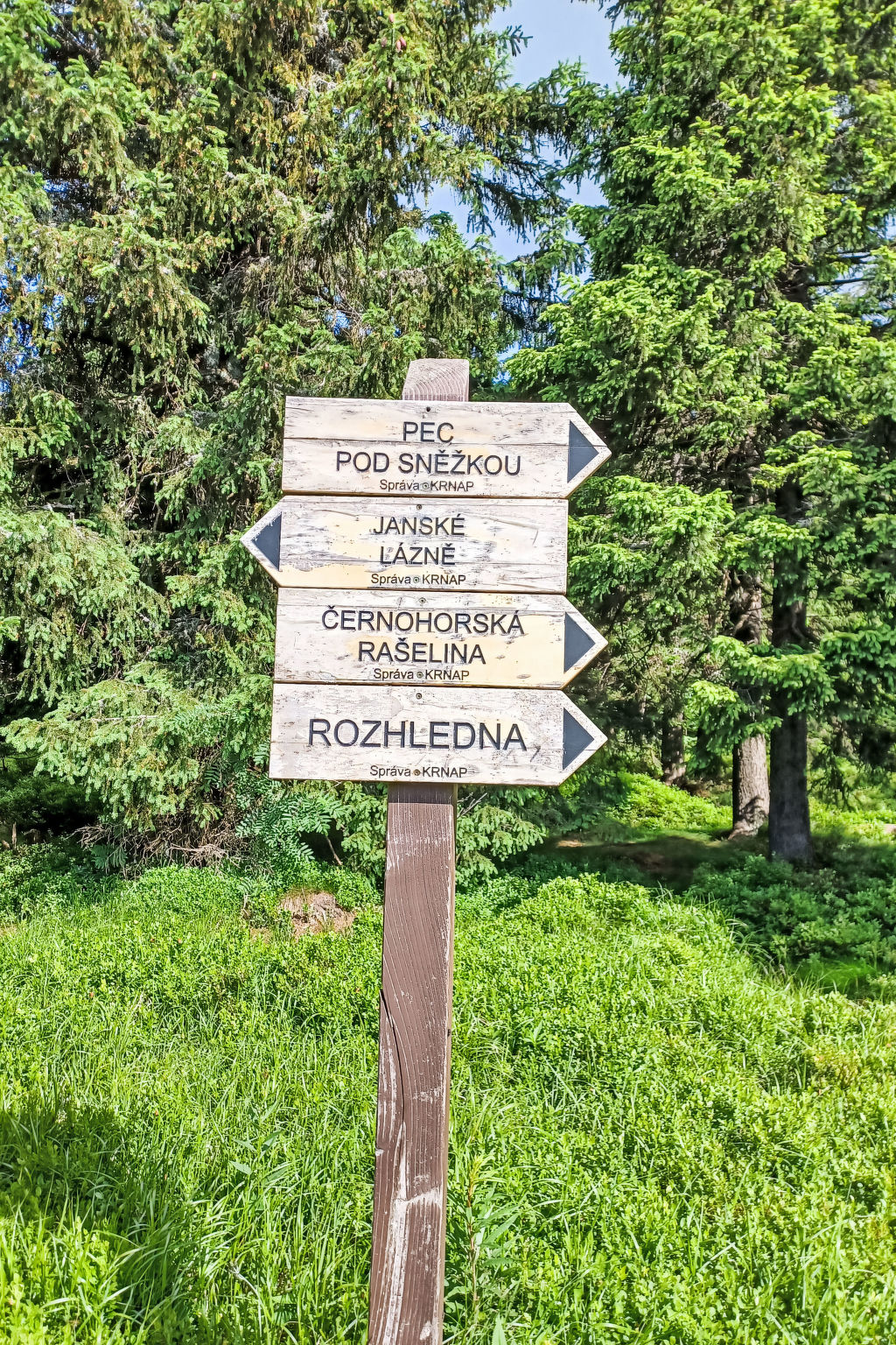 U Švýcarského dvora IV-Environnement