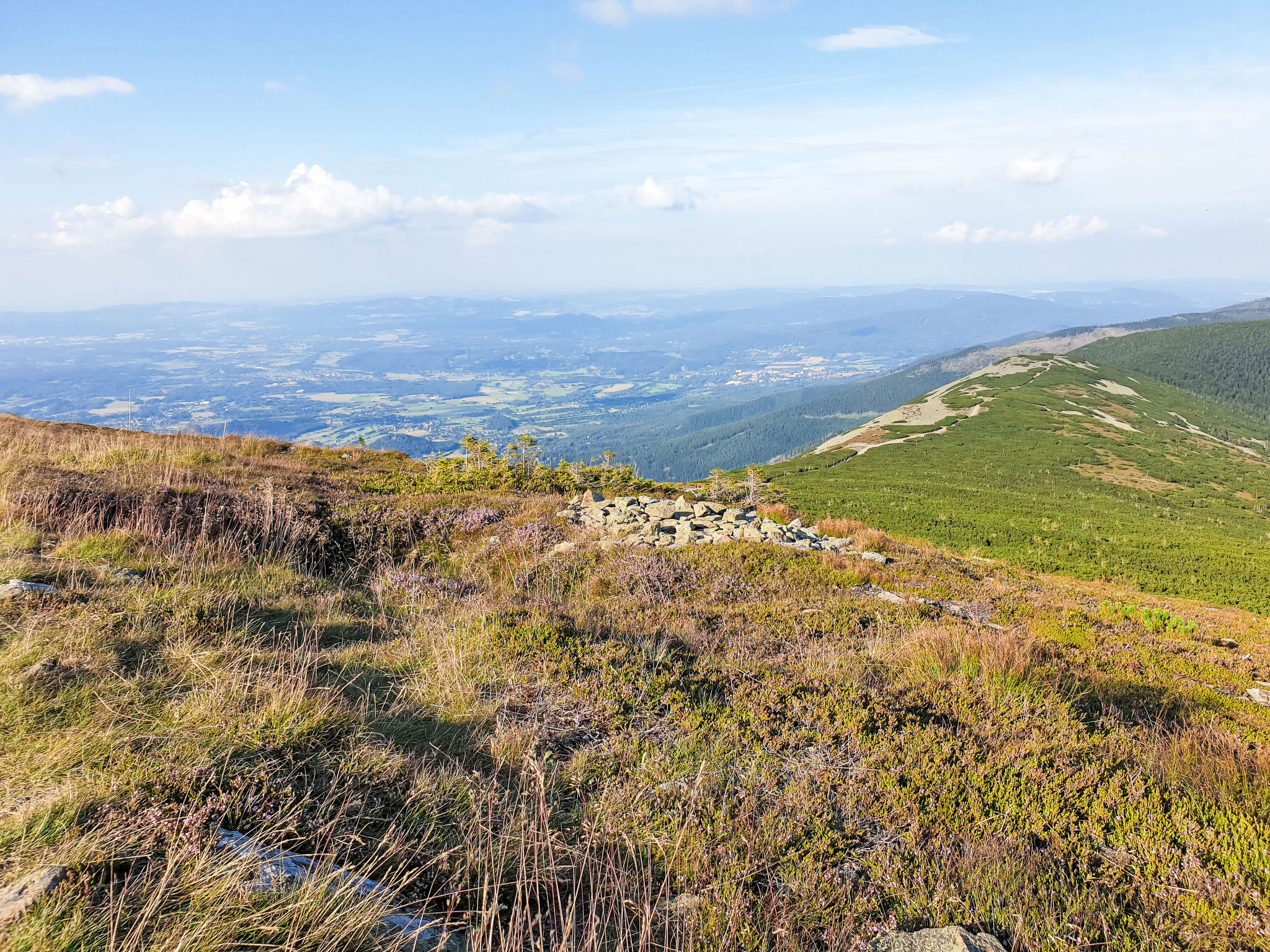 U Švýcarského dvora IV-Environnement