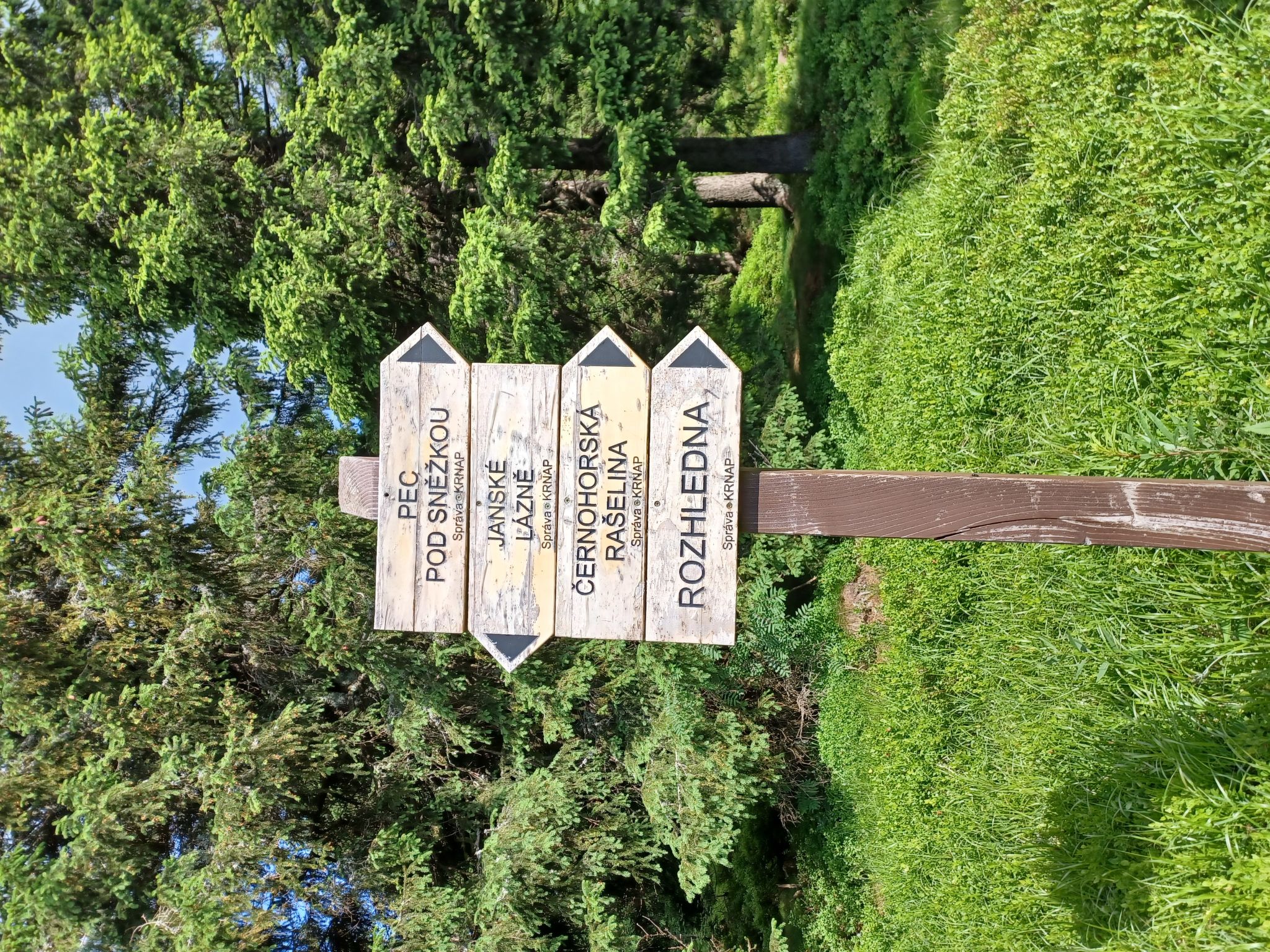 Charming Mountain Lodge & Wellness - Omgeving