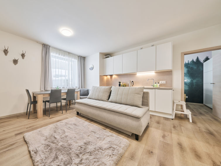 2-Zimmer-Wohnung 42 m2, im Erdgeschoss. Sehr schön und modern eingerichtet: Wohn-/Esszimmer mit 1 Doppeldiwanbett und TV. 1 Zimmer mit 1 Doppelbett (180 cm, Länge 200 cm). Kochnische (Backofen, 4 In..