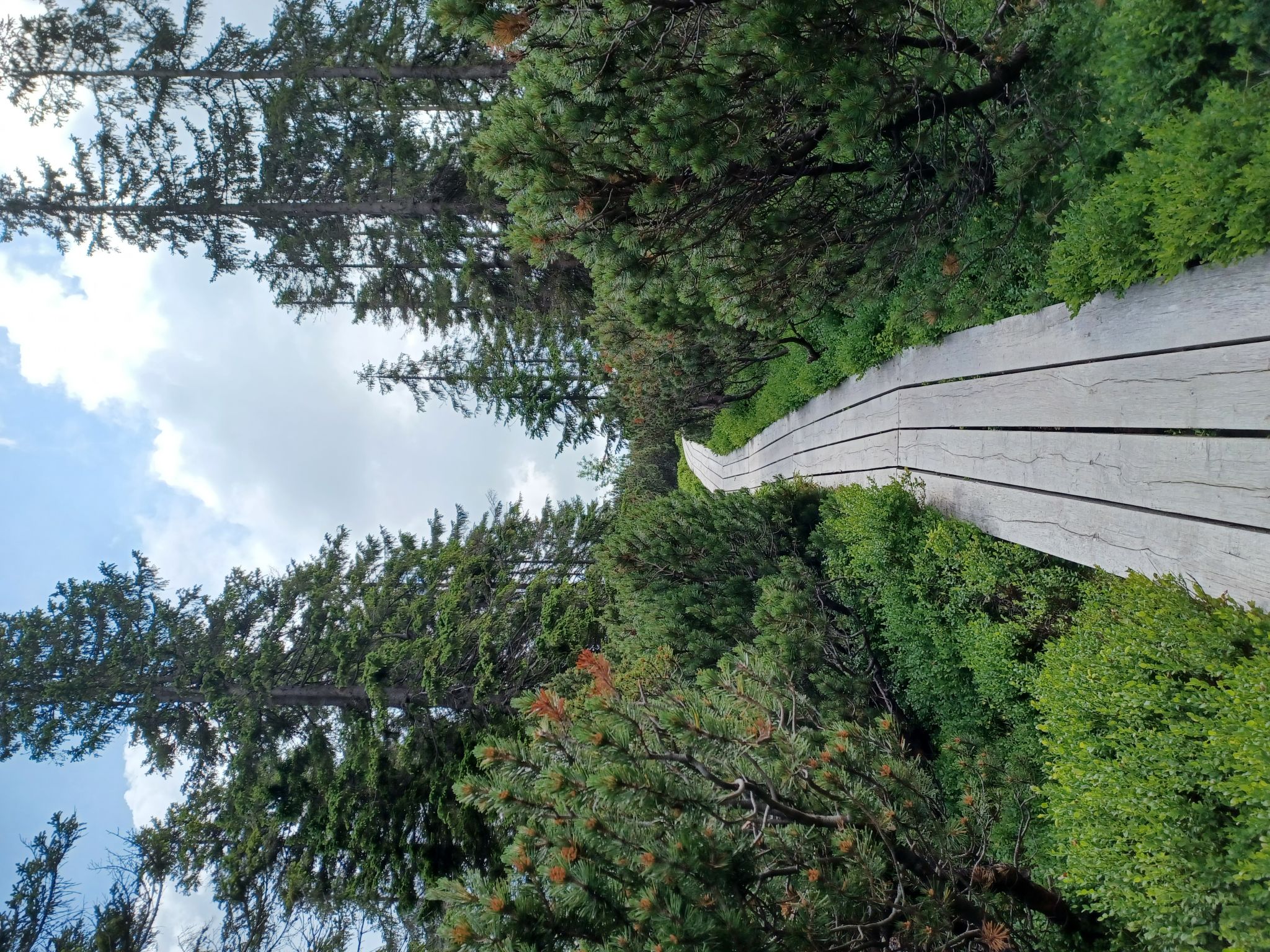 Holiday Hill 28 - Umgebung