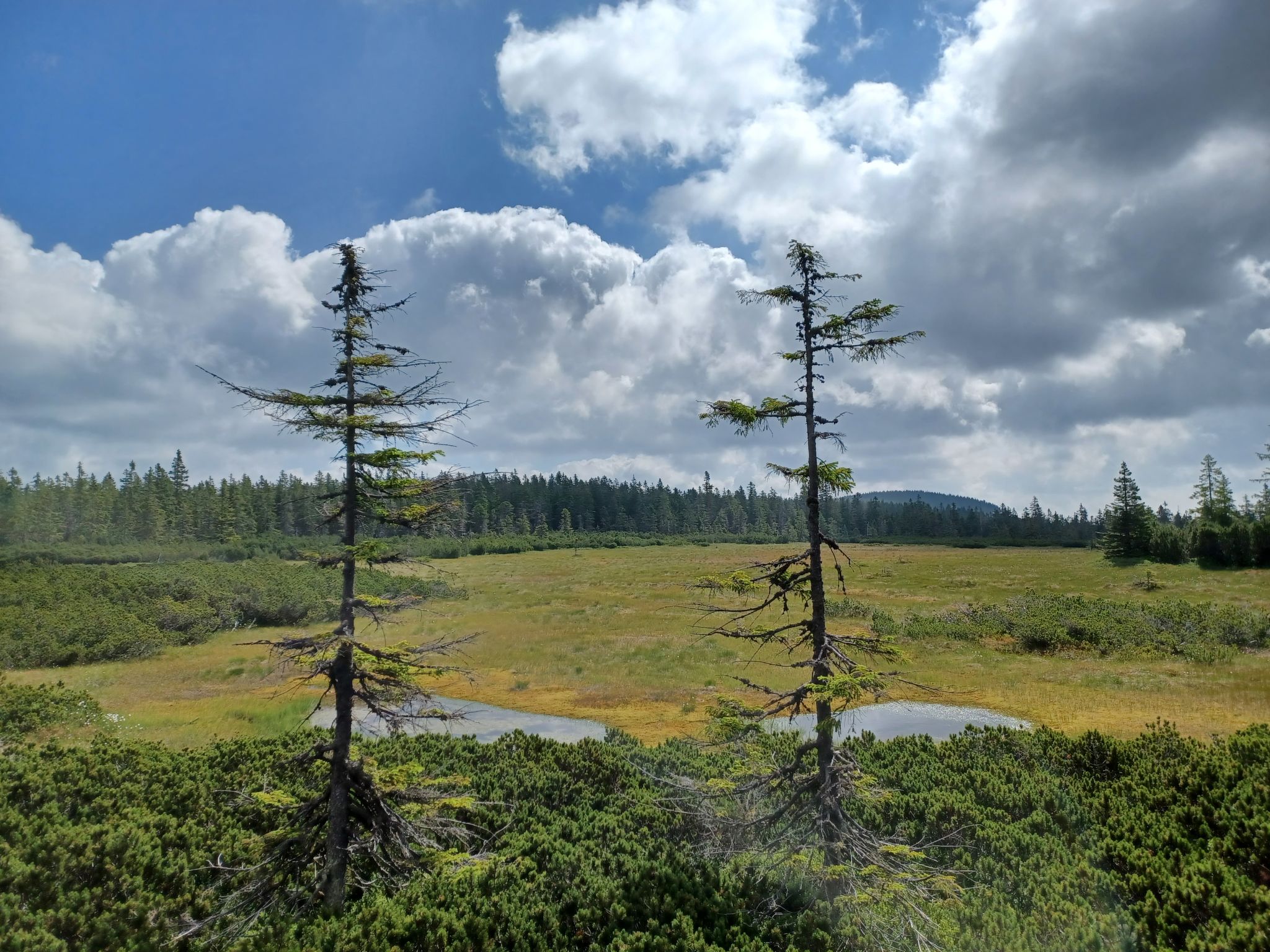 Holiday Hill 28 - Umgebung
