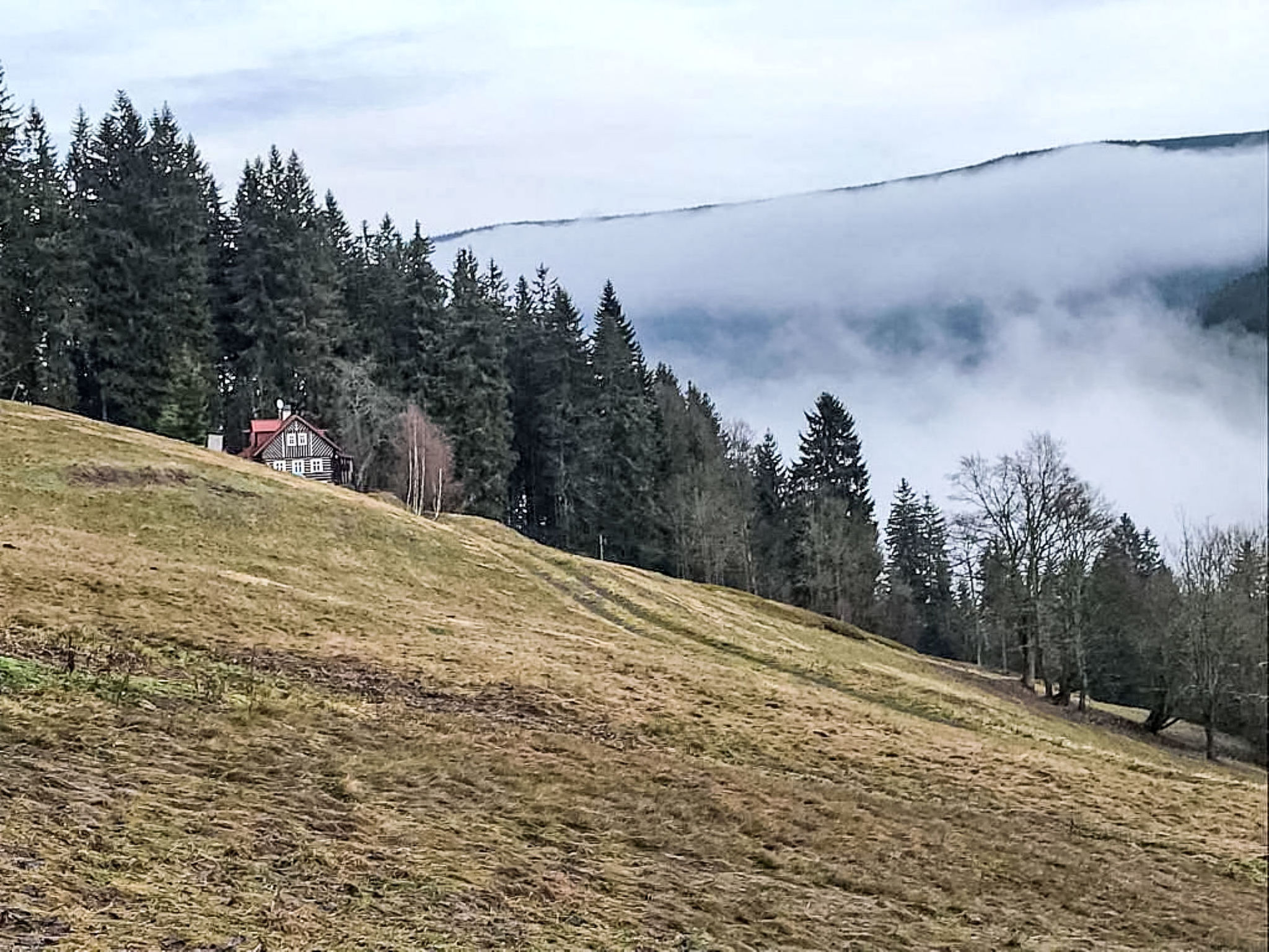 Wellness Retreat Labská - Dehors