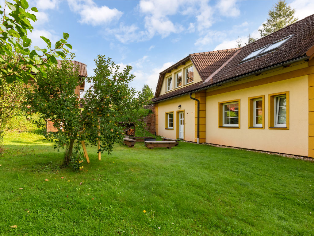 Bild 15