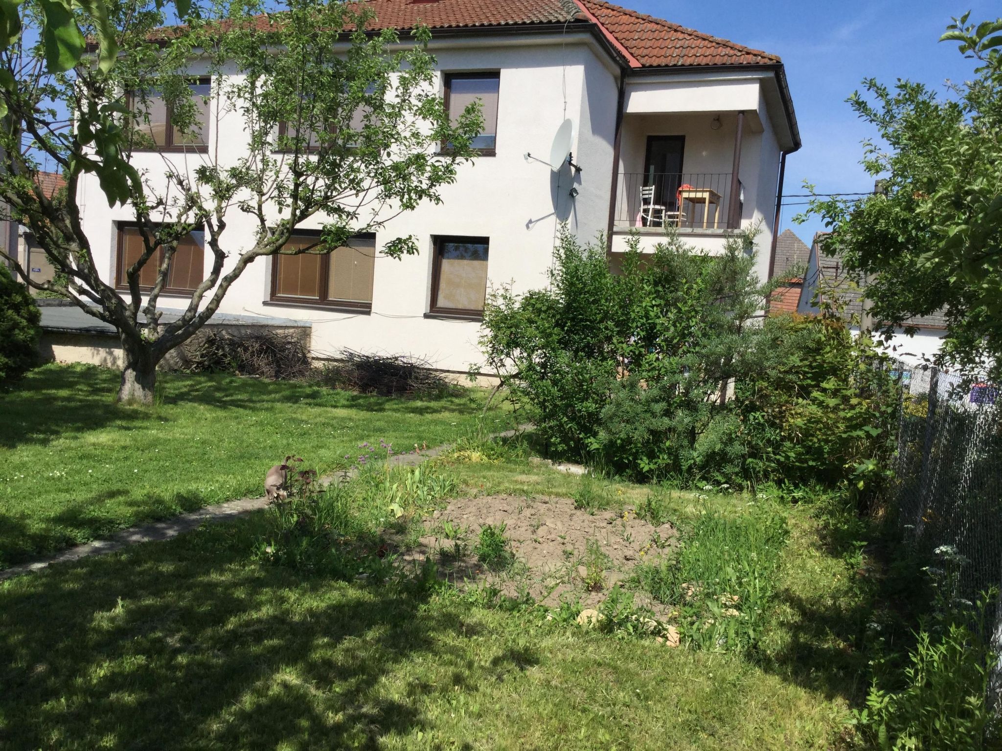 Ferienhaus in Vysoké Mýto (Tschechische Republik) und 1 Hund erlaubt