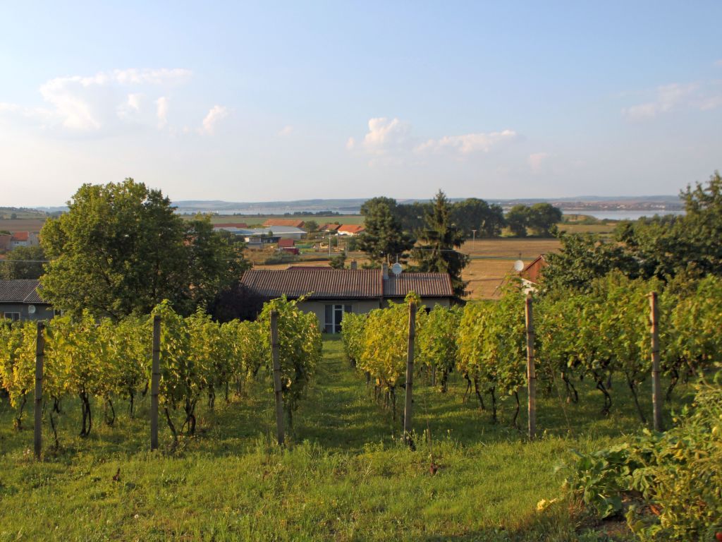 Ferienhaus Milovice Ferienhaus  Tschechische Republik