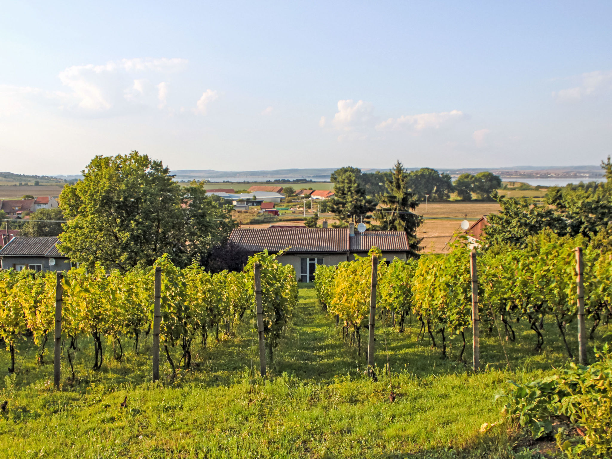 Milovice