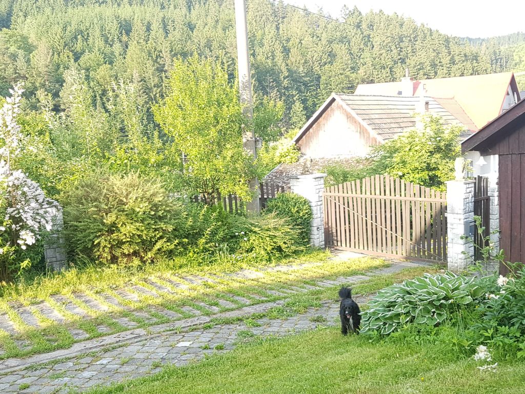 Bild 18