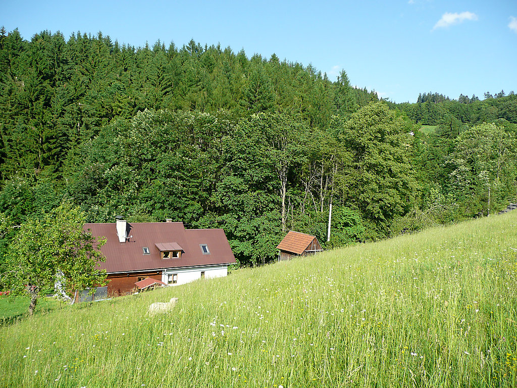Bild 19
