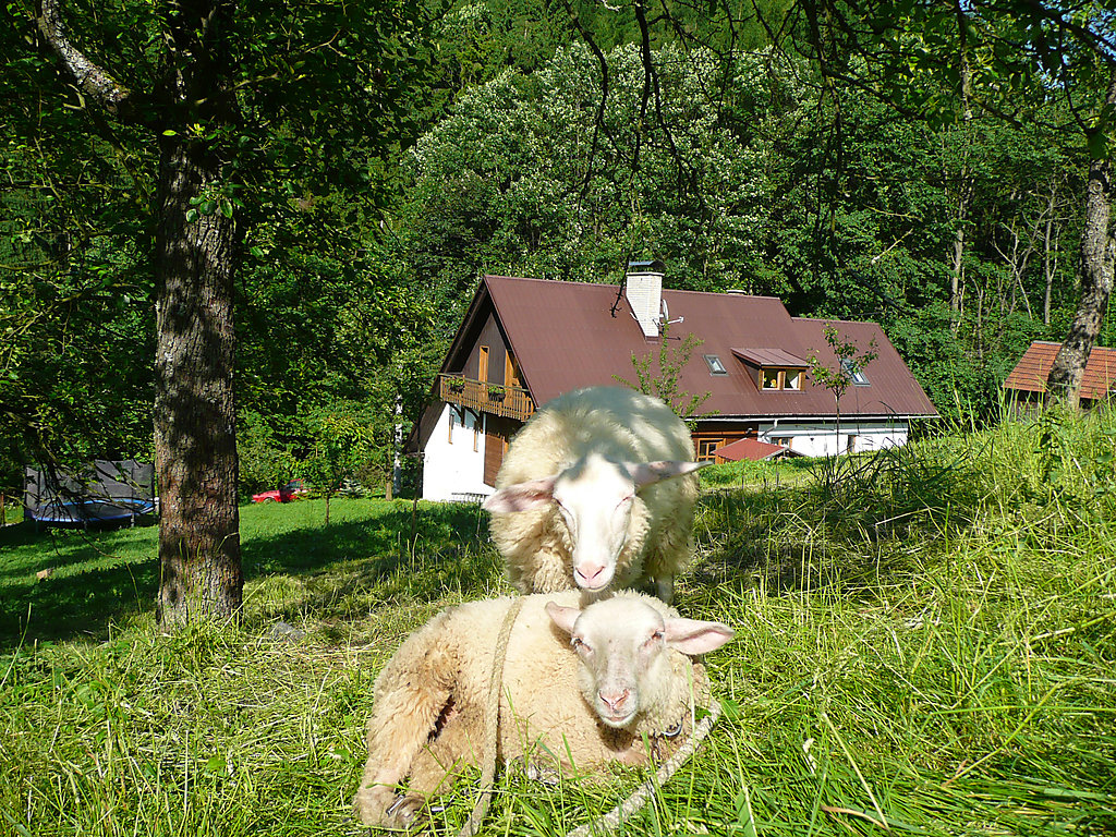 Bild 4